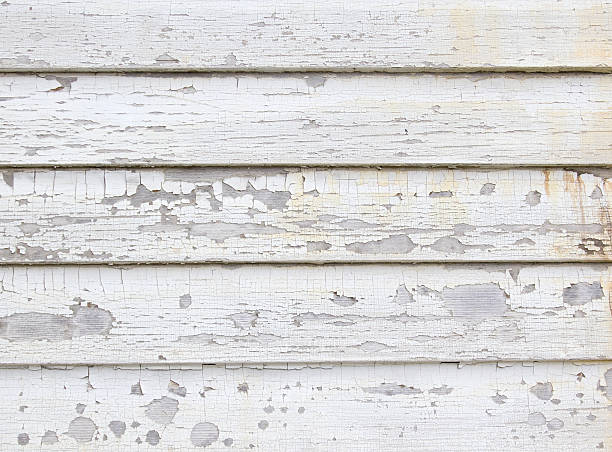 Best Carpet Removal and Disposal  in Forest City, FL